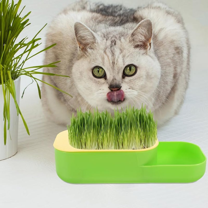 Hydroponic Cat Grass Planter Box Indoor Soilless Catnip Kit Green - Image 3